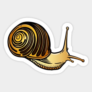 Snail Sticker